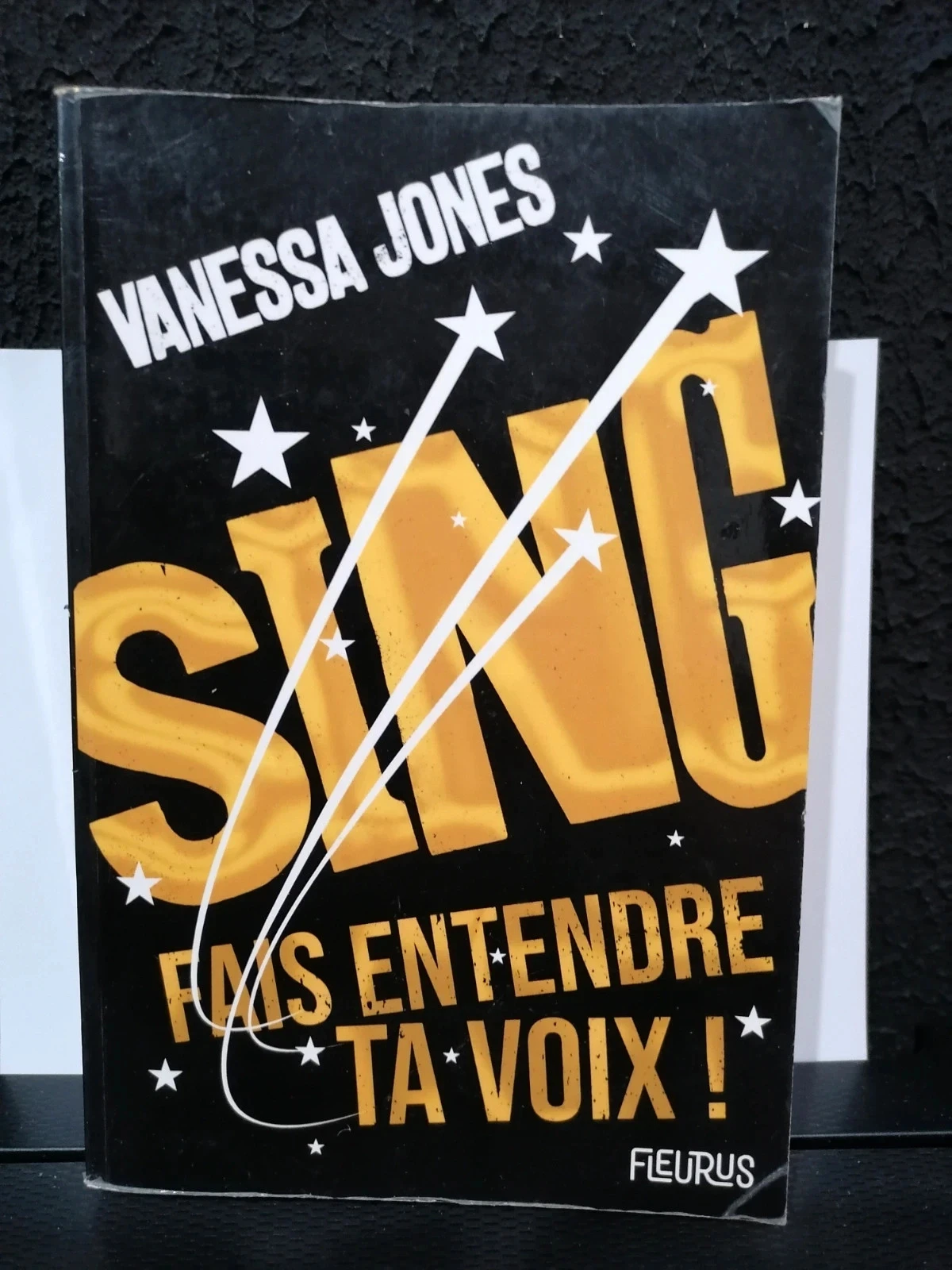 Sing, fait entendre ta voix